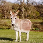 3 Bed In Carr Bank Oc-Gl128 Ferienhaus Beetham